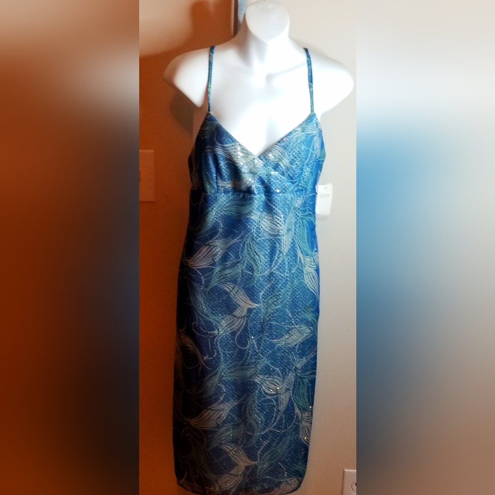 Blue  Sequence dress